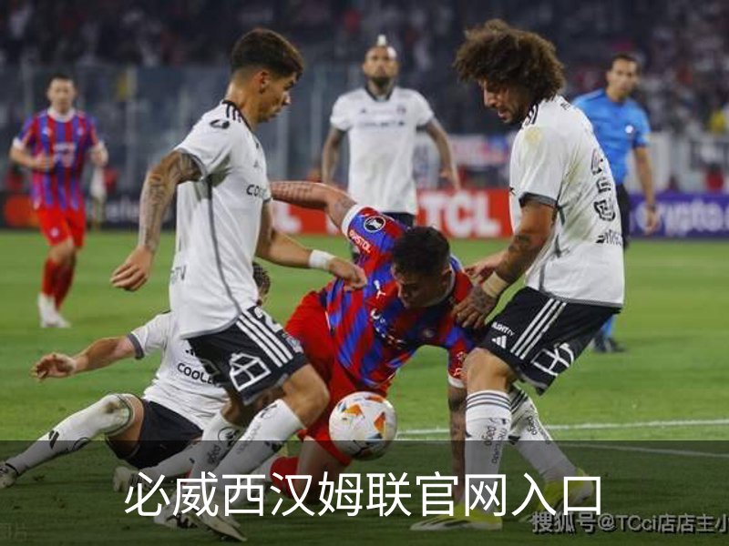 必威西汉姆联官网入口简介